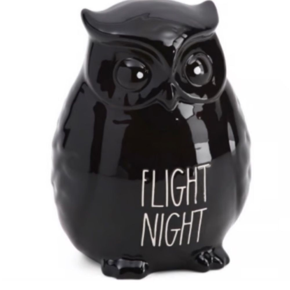 Rae Dunn night watch black ceramic owl